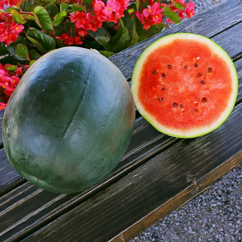 Sugar Baby Watermelon