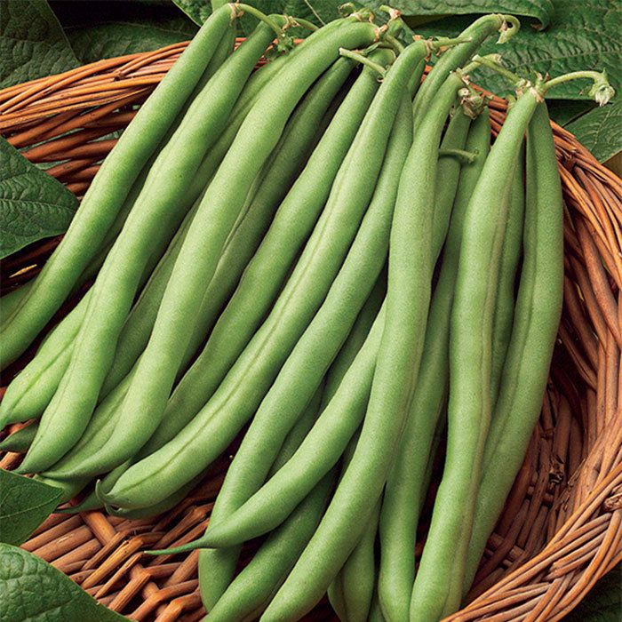 Beans (Pole)