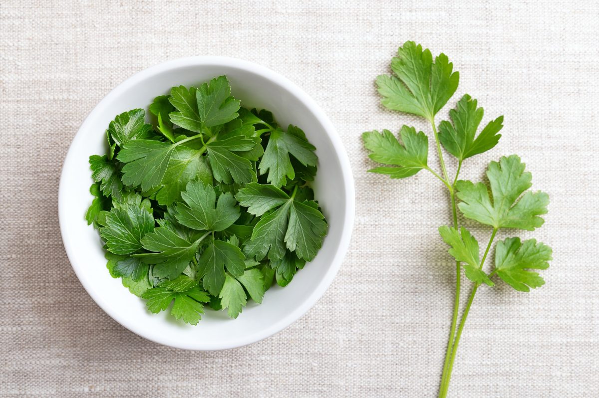 Parsley (Big Italy)