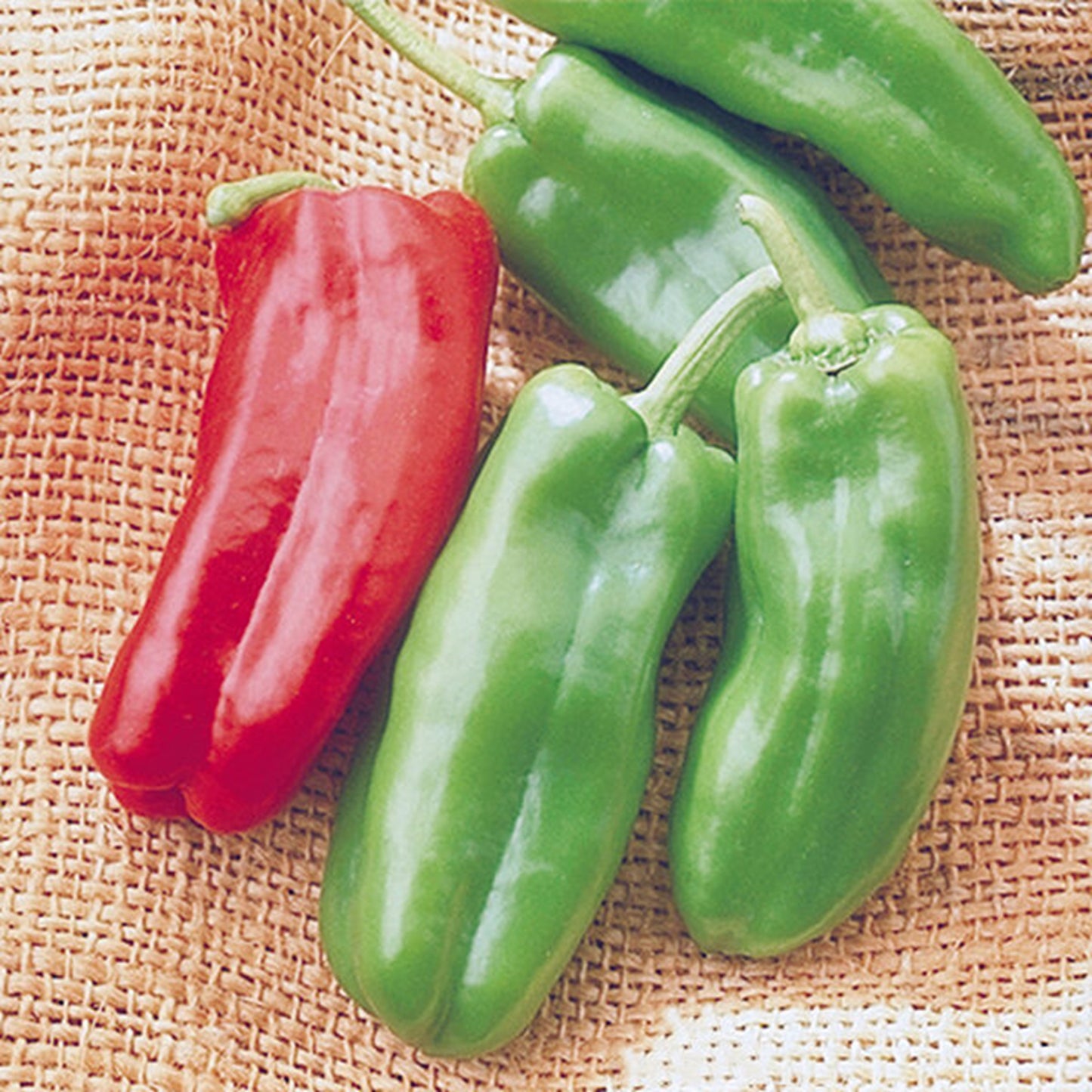 Marconi Giant Peppers