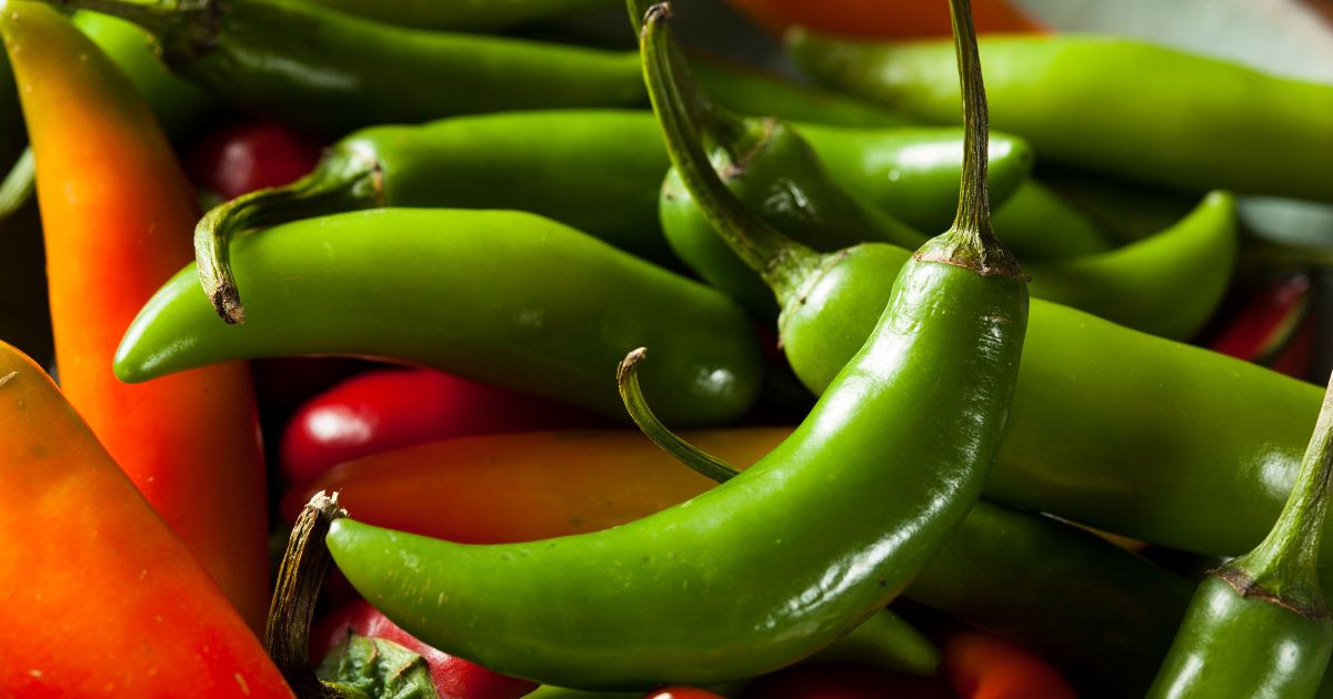Serano Peppers