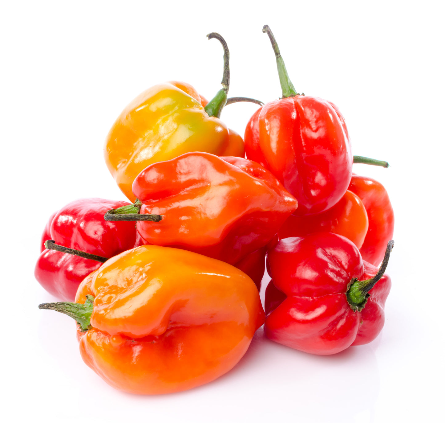 Habanero Peppers