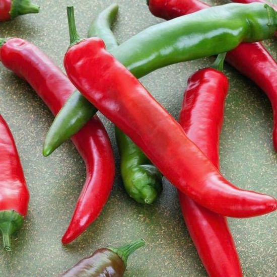 Garden Salsa Peppers