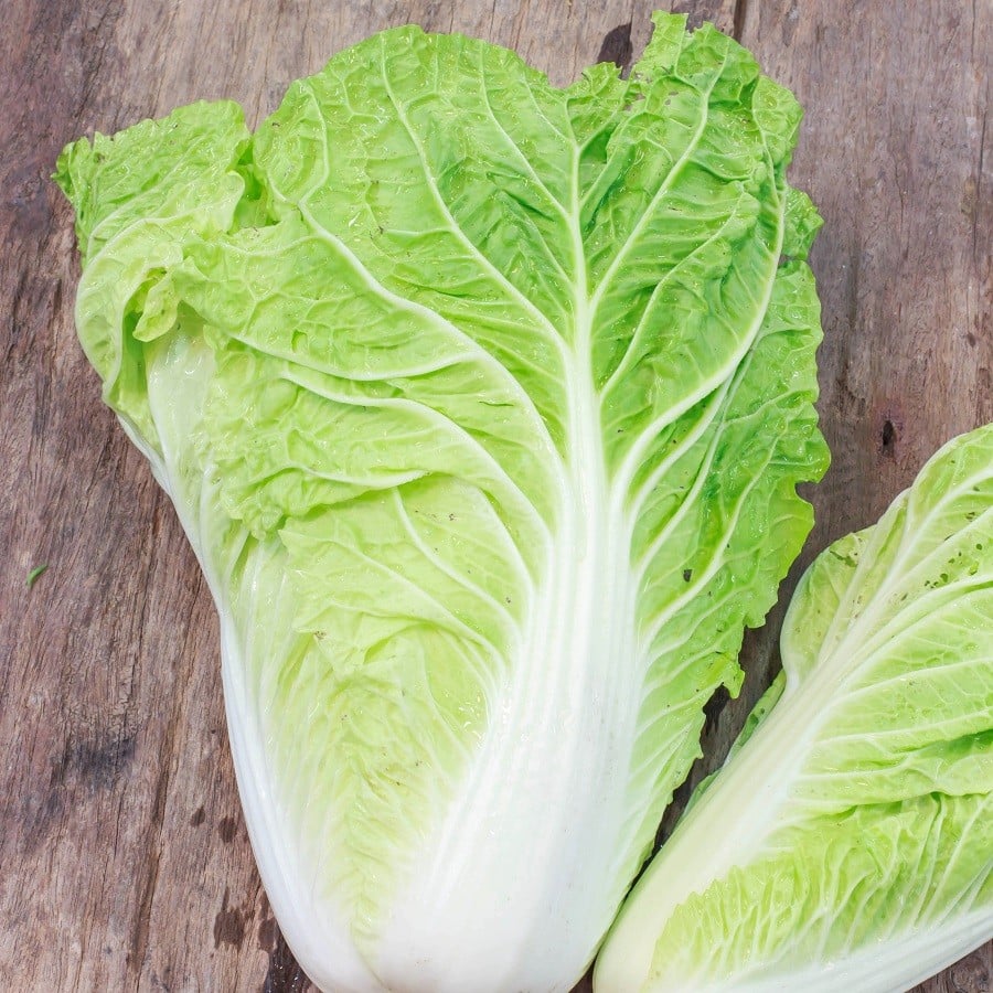 Chinese Cabbage