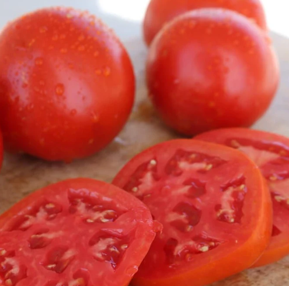 Celebrity Tomato